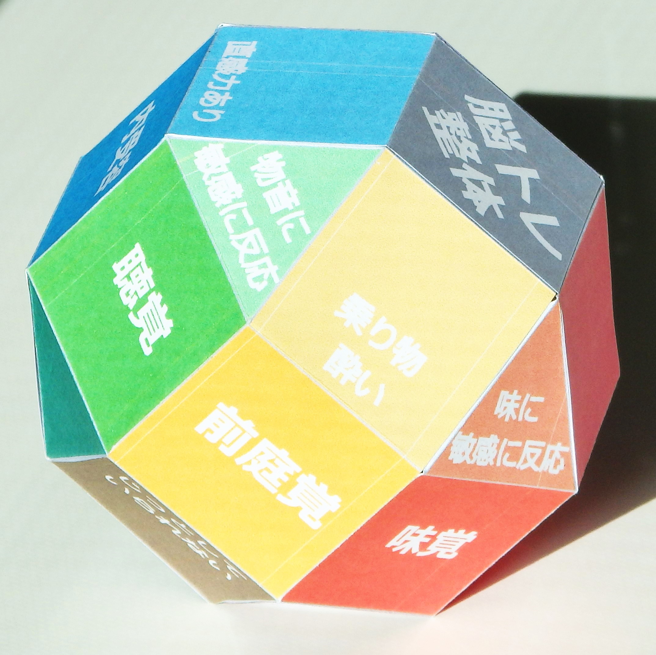 �W�̊��o�̗��̖͌^_�]�g������