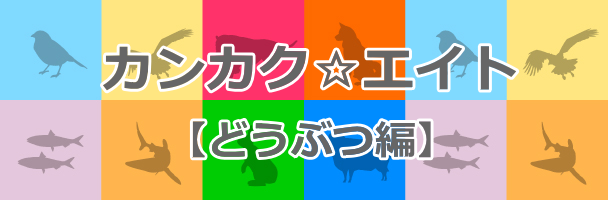 感覚８パーソナリティー（Sensory８Personality）_立体模型